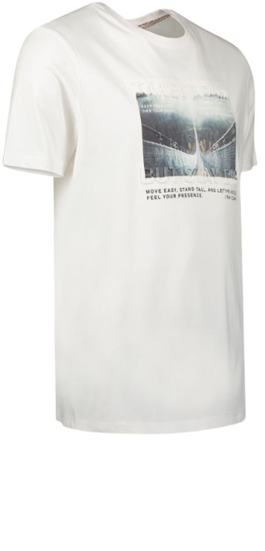 Ray Herren T-Shirt Brustprint 3D