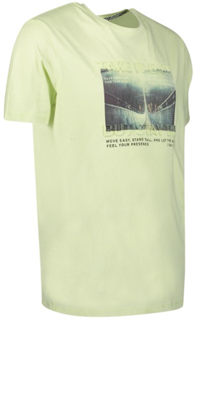 Ray Herren T-Shirt Brustprint 3D