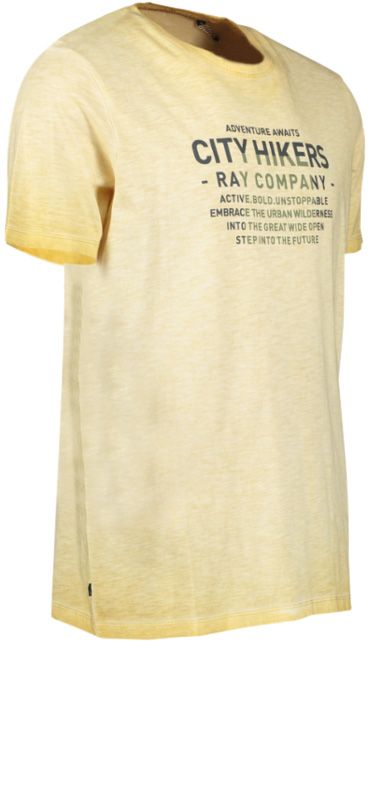 Ray Herren T-Shirt Baumwolle